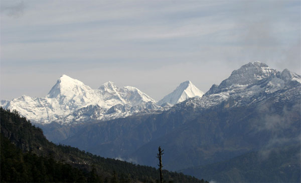 Thrumshingla-National-Park